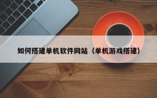 安阳如何搭建单机软件网站（单机游戏搭建）